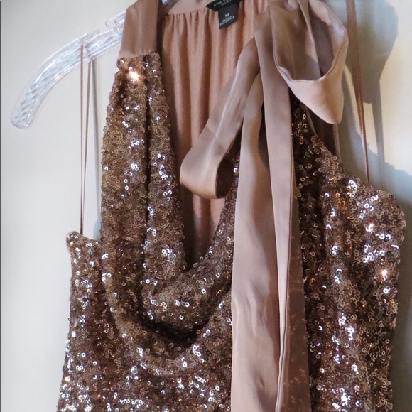 Ann Taylor Tops - Ann Taylor Blush Sequin Top